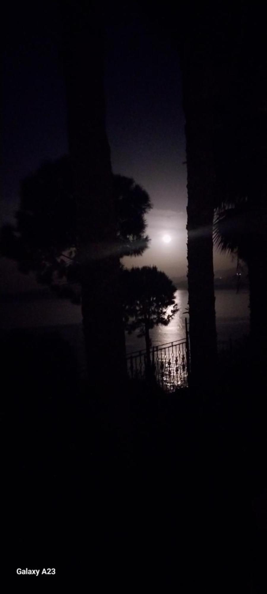 Datca Villa Carla Hotel エクステリア 写真