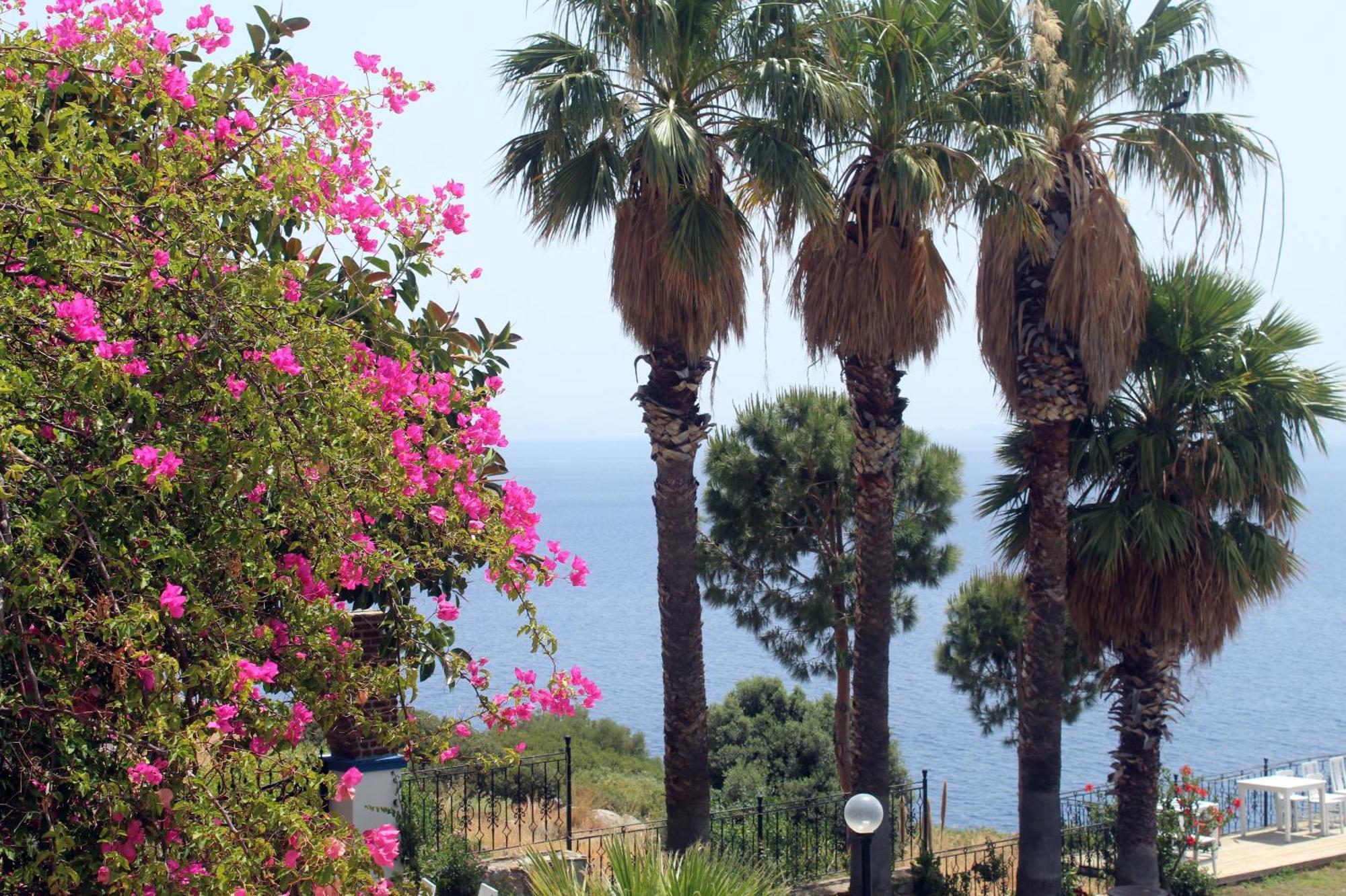 Datca Villa Carla Hotel 部屋 写真